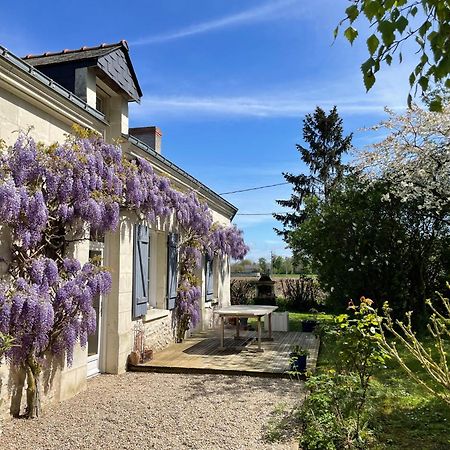 Chambres D Hotes Avec Piscine Et Spa La Foliere Saumur Villebernier Luaran gambar