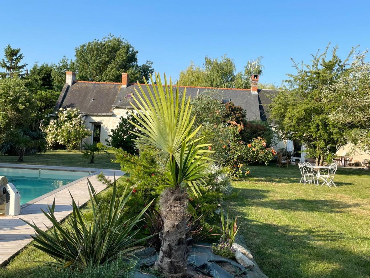 Chambres D Hotes Avec Piscine Et Spa La Foliere Saumur Villebernier Luaran gambar