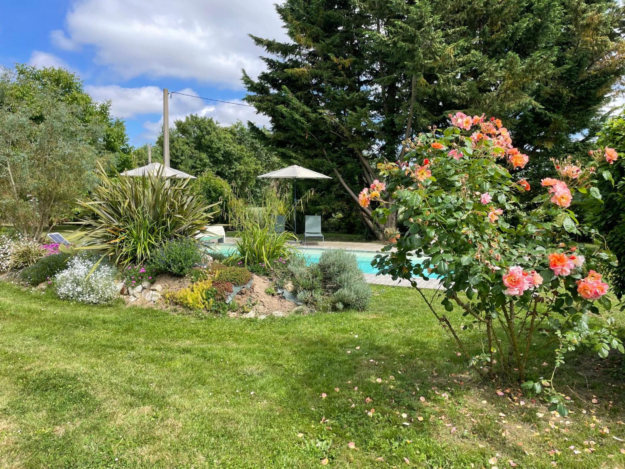 Chambres D Hotes Avec Piscine Et Spa La Foliere Saumur Villebernier Luaran gambar